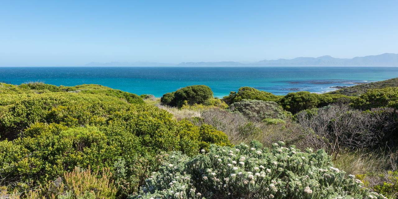 Romans Villa Gansbaai Exterior foto